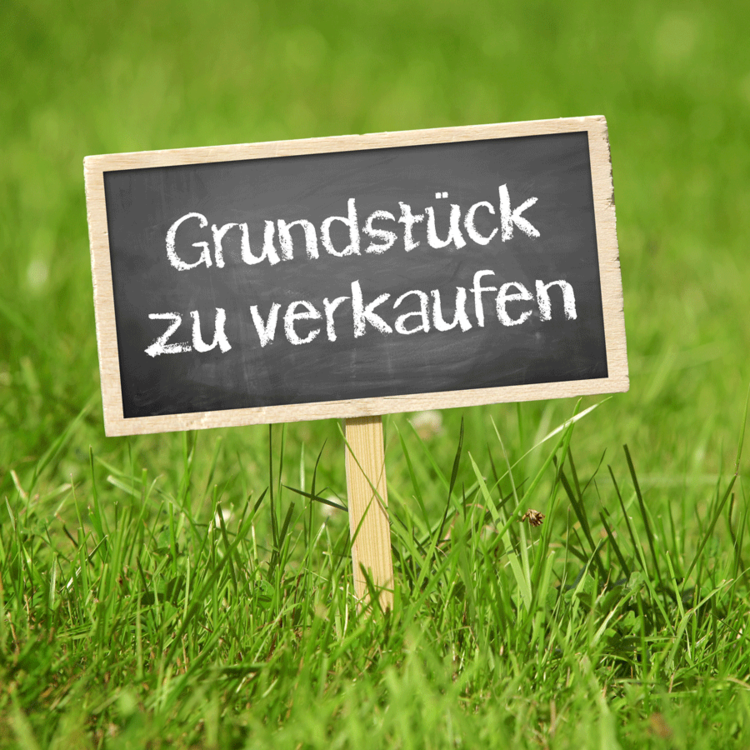 SEO Bild